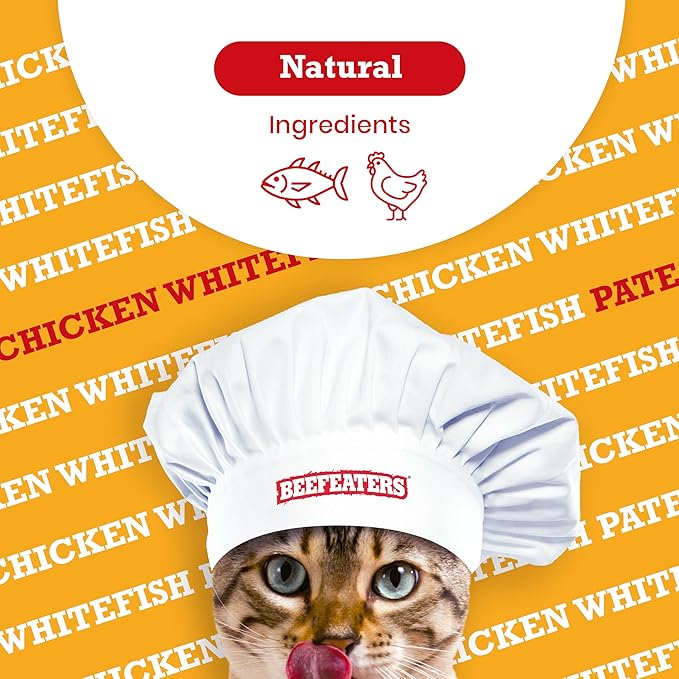 Beefeaters Cat Treats - Chicken Whitefish Pate 5.5oz, Case of 24 | Premium Wet Cat Food, Essential Nutrients, No Artificial Additives | Supports Immune System & Vision | Training Treats