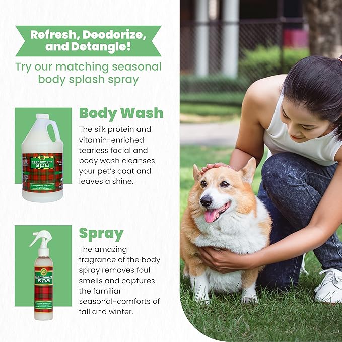 Best Shot Scentament Spa Seasonal Facial & Body Wash, Harvest Apple, 1 Gallon