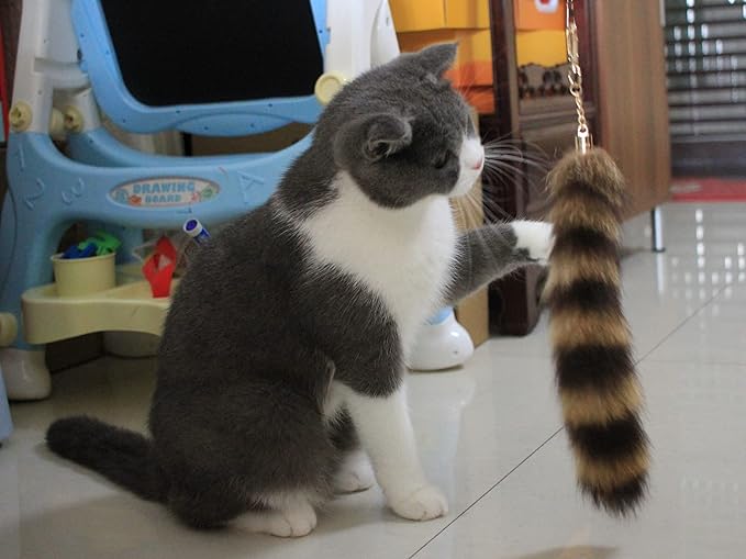 Fosrion Real Raccoon Tail Fur Cat Bites Toy with Three Section Retractable Carbon Fiber Rod (Raccoon, Only Tail)
