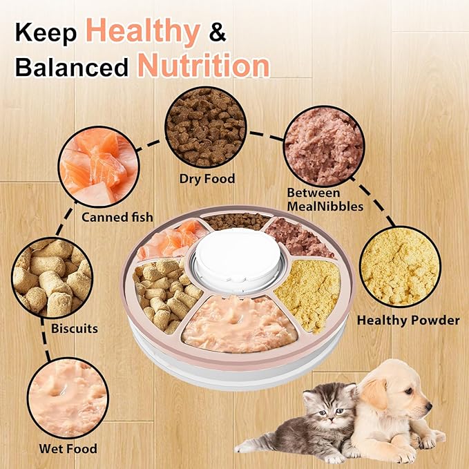 Automatic Cat Feeder Wet Food/Dry Food, 6 Meal Timed Pet Feeder Easily Programmable &Easy to Clean, Auto Feeder for Cats/Small Dogs(Pink)