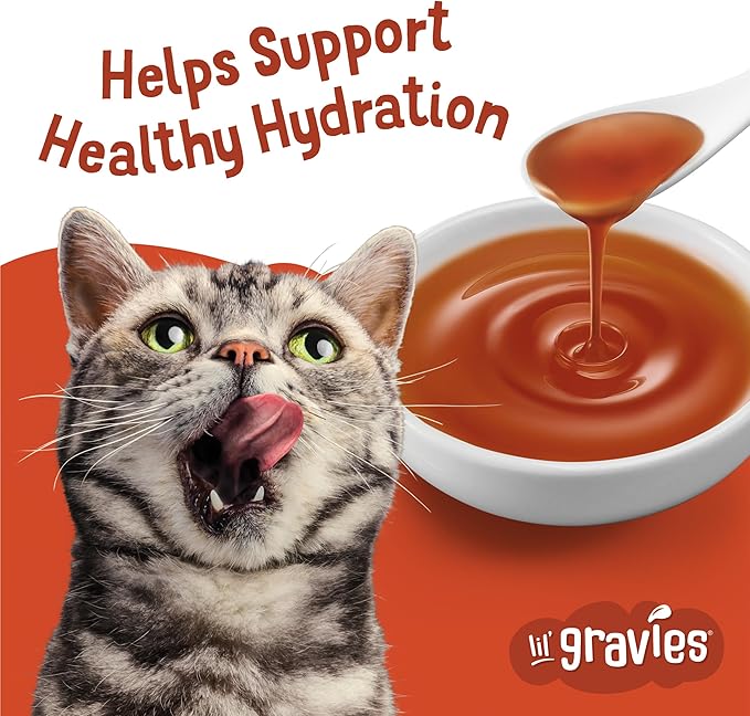 Purina Friskies Lil' Gravies Roasted Chicken Flavor Cat Food Lickable Cat Treats - (Pack of 16) 1.55 oz. Pouches