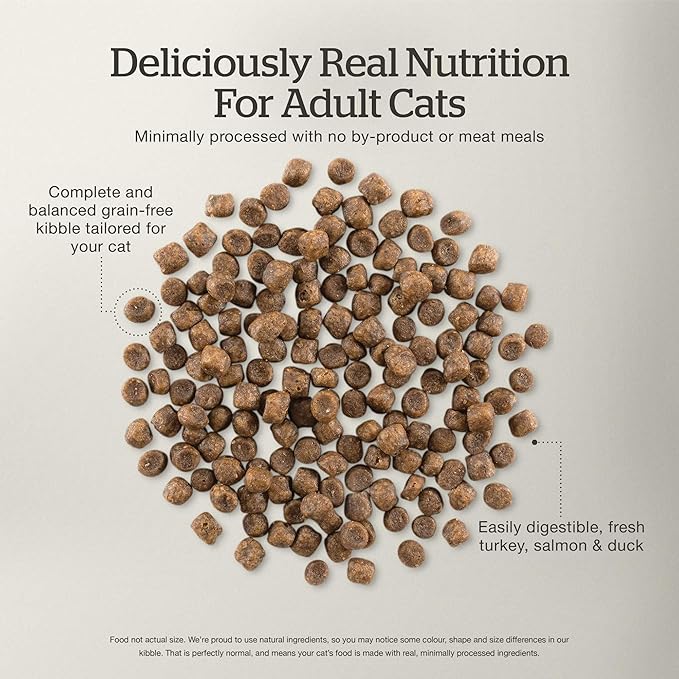 Now Fresh Grain-Free, Dry Cat Food, Turkey, Salmon and Duck Kibble, Real Meat and Fish Adult Recipe, 8 lb Bag