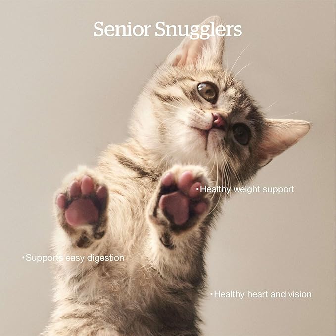 Now Fresh Grain-Free, Dry Cat Food, Turkey, Salmon and Duck Kibble, Real Meat and Fish Senior Recipe, 16 lb Bag