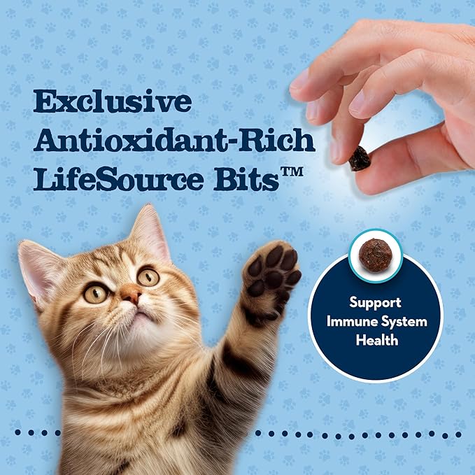 Blue Buffalo Baby BLUE Natural Kitten Grain-Free Dry Cat Food, High-Protein Healthy Growth Formula with DHA, Savory Chicken, 2-lb. Bag