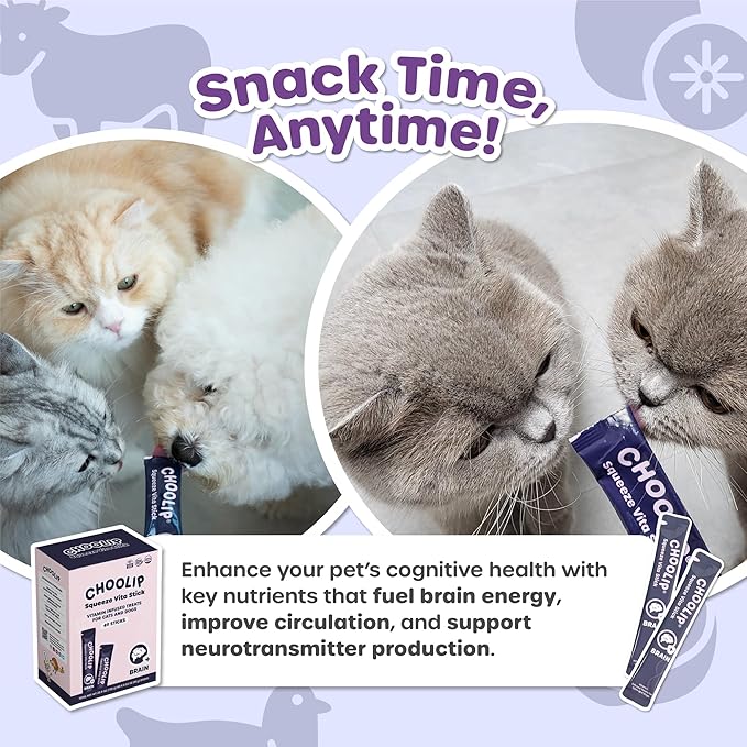 Squeeze Vita Stick Lickable Treats for Dogs & Cats. 49 Brain Support Sticks with Essential multivitamins. Soft and Tasty Paste for All Life Stages, Supporting Brain Health