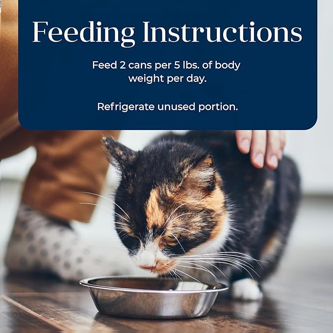 Blue Buffalo Basics Grain-Free Adult Wet Cat Food, Skin & Stomach Care, Limited Ingredient Diet, Fish Recipe, 3-oz. Can, 24 Count
