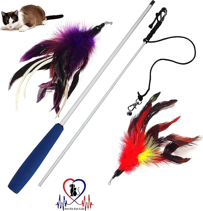 Pet Fit For Life Cat Wand Toy - Irresistible Cat Flirt Pole - Ultimate Feather Teaser for Indoor Cats - Safe & Durable for Interactive Play