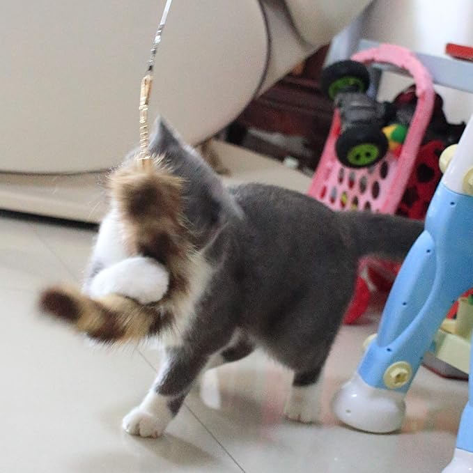 Fosrion Real Raccoon Tail Fur Cat Bites Toy with Three Section Retractable Carbon Fiber Rod (Raccoon, Tail & Fishing Rod)