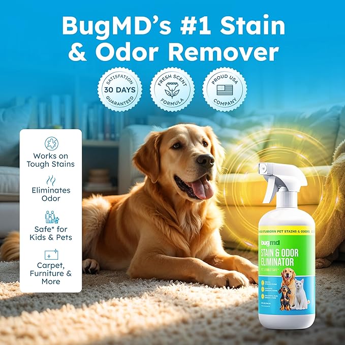BugMD Enzyme Cleaner & Odor Eliminator for Strong Odor (32oz) - Pet Stain Remover for Carpet, Upholstery, Hardwood, Dog & Cat Urine - Powerful Deodorizer for Home, Floors, Furniture, & Carpet Cleaning