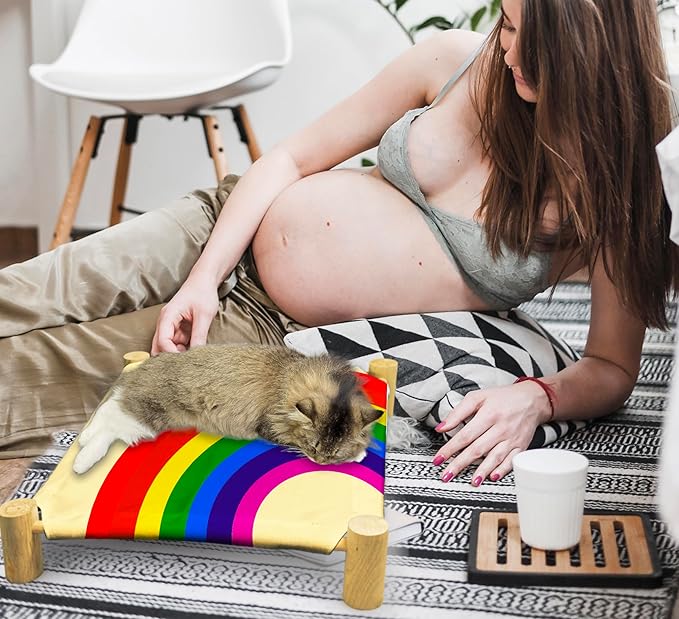 Rainbow Cat Beds, Wooden Cat Beds for Indoor Cats, Small Animal Beds for All Seasons, Pet Beds, Cute Cat Hammock