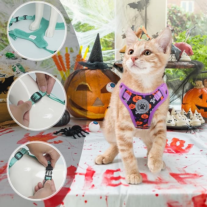 BEAUTYZOO Cat Harness and Leash Set for Walking Escape Proof, Neck Release Adjustable Harness for Kitten Puppy Small Medium Large Cats, Soft Cute Easy Control Small Cat Harness for Cats Boy and Girls