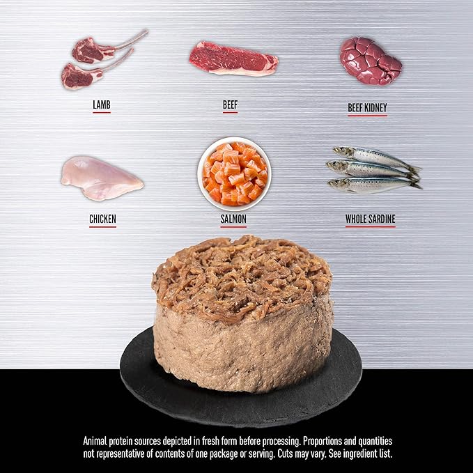 ORIJEN Adult Regional RED Entree in Bone Broth Wet Cat Food, Fresh and Raw Animal Ingredients, 3 oz (Case of 24)