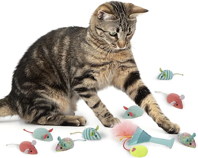 SmartyKat (16 Set Bundle Birthday Bash Variety Pack Catnip Cat Toys - Multi Color, Set of 16