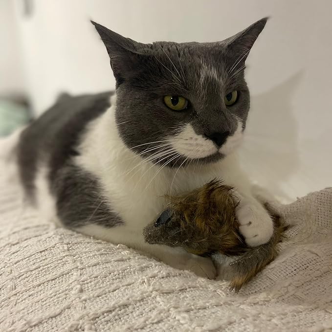 Ethical SPOT Shaggy Plush Giant Mouse - Cat Toy, Fuzzy Mice with Catnip and Rattle Toy for Indoor Cats and Kittens, Perfect Size for Pouncing on, Chasing, Hunting - 8.5in, 1 Piece