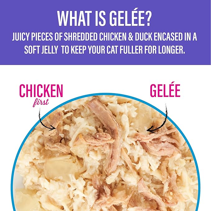 Tiki Cat Luau Lean Gelee Wet Cat Food, Variety Pack, 2.8 oz Pouch (12 Count)