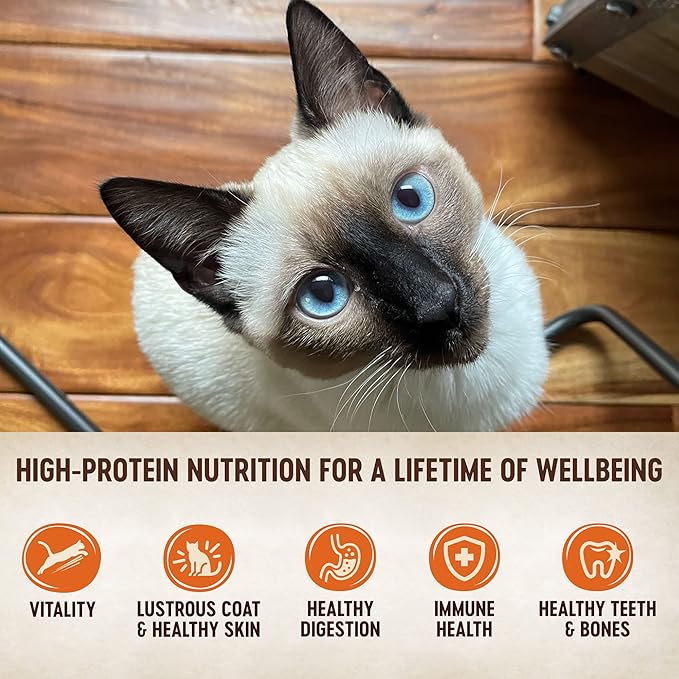 Wellness CORE Tiny Tasters Wet Cat Food Topper, Grain Free, Complete & Balanced Nutrition Made with Real Meat, No-Mess Pouches, (Adult Cat, Land Variety Pack), 1.75 Ounce (Pack of 12)