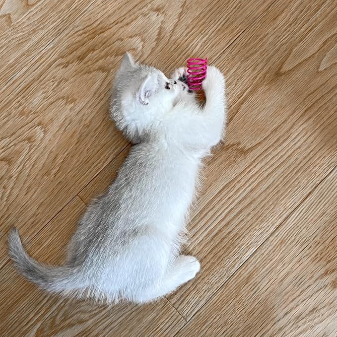 Andiker Cat Toys for Indoor Cats, 32pcs Cat Spring Toys Colorful & Durable Plastic Springs Cat Interactive Toy for Swatting, Biting, Hunting Kitten Toys to Kill Time and Release Nervousness (40pcs)