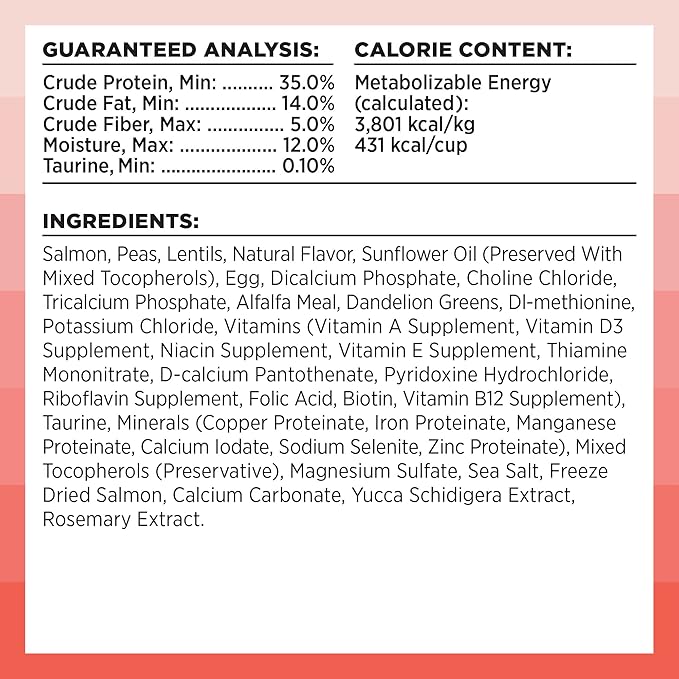 BIXBI Rawbble Dry Food Salmon Recipe for Cats, 3lb