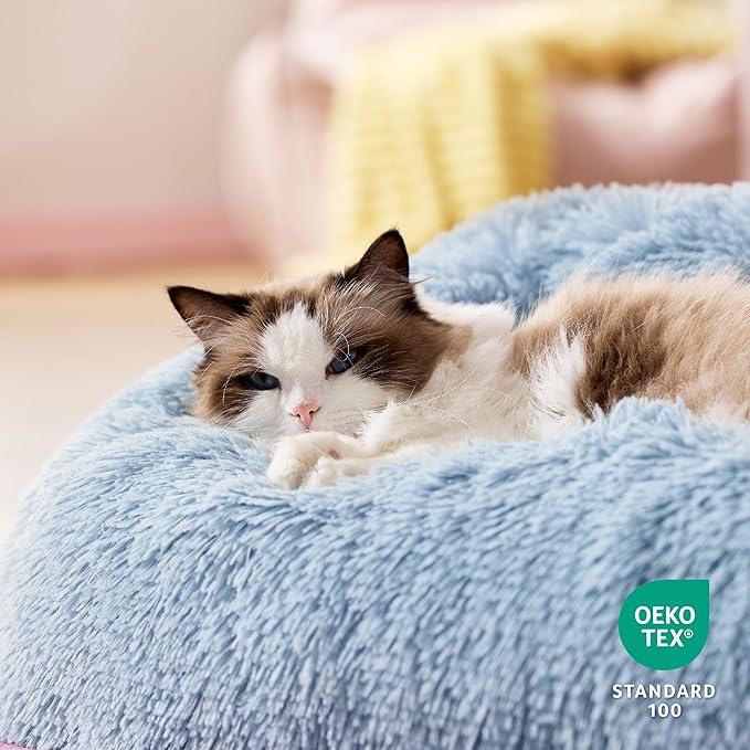 Lesure Cute Cat Couch Bed - Furry Indoor Cat Sofa Large, Washable Calming Small Dog Beds for Puppy with Fashion Design, 26x21x9inches, Blue