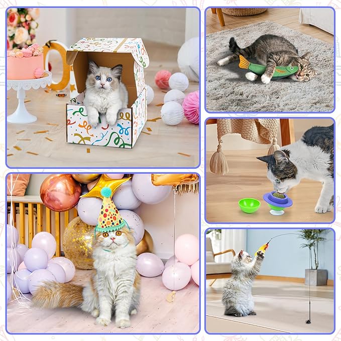 Interactive Cat Toys with Cat Tunnel Bed, Bite Resistant Catnip Toy, Feather Toys, Catnip Balls and Fish, Cat Toys for Indoor Cats, A Birthday Gift for Cats
