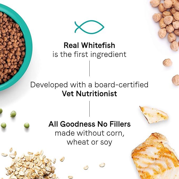 Canidae Goodness for Indoor Cats, Premium Adult Dry Cat Food with Real Whitefish, 10 lbs.