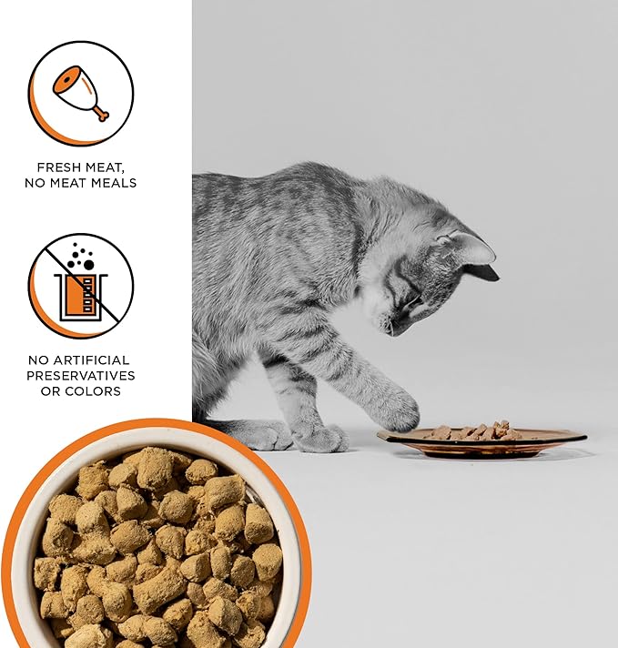 BIXBI Rawbble Freeze Dried Cat Food, Chicken Recipe, 3.5 oz - 95% Organs and Bone Raw Cat Food - USA Made
