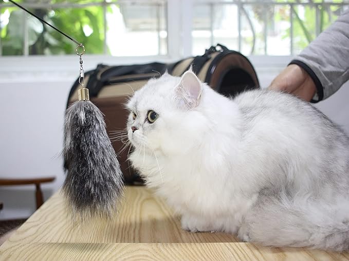 Fosrion Real Raccoon Tail Fur Cat Bites Toy with Three Section Retractable Carbon Fiber Rod (Raccoon) (Fox Fur Piece, Only Tail)