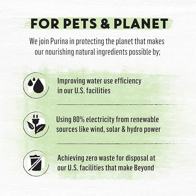 Beyond Purina Natural Wholesome Ingredients for Whole Health Dry Cat Food Salmon and Whole Brown Rice Recipe - 3 lb. Bag (Pack of 2)