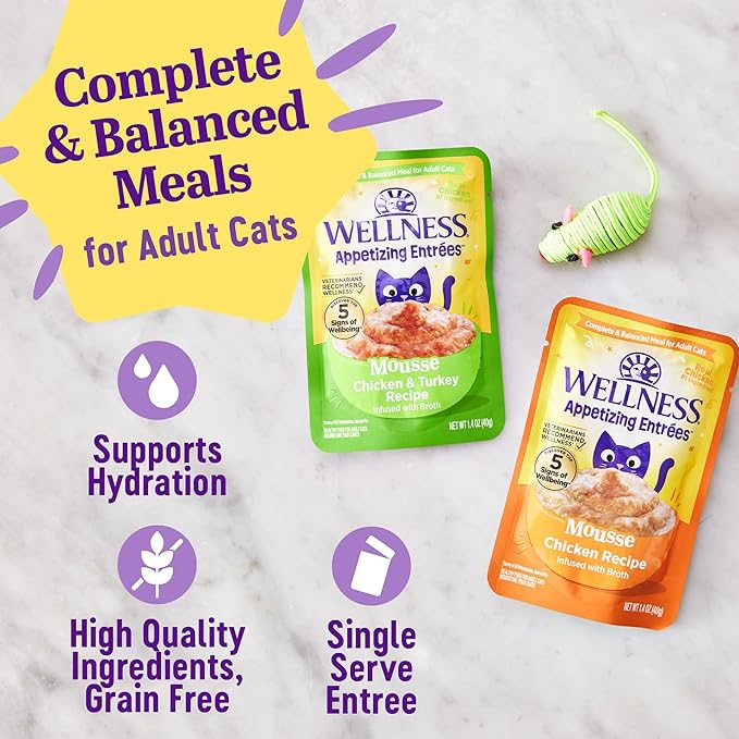 Wellness® Appetizing Entrées™ Mousse Chicken & Turkey Recipe Infused with Broth Natural Wet Cat Food, 1.4 oz Pouch (Pack of 8)