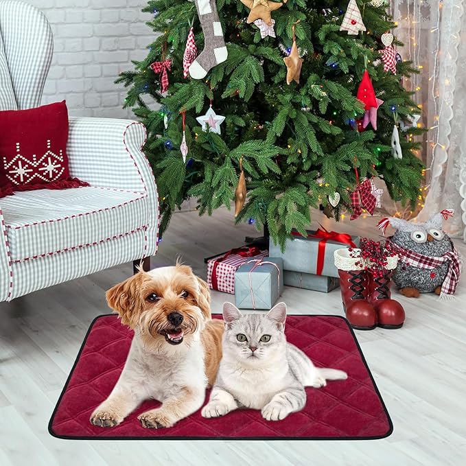 Self Warming Cat Bed, Pet Crate Pad for Indoor and Outdoor, Washable Heating Cat Mat Bed with Non-Slip Bottom for Cats, Puppy and Small Dogs - Deep Red, S:19"x28"