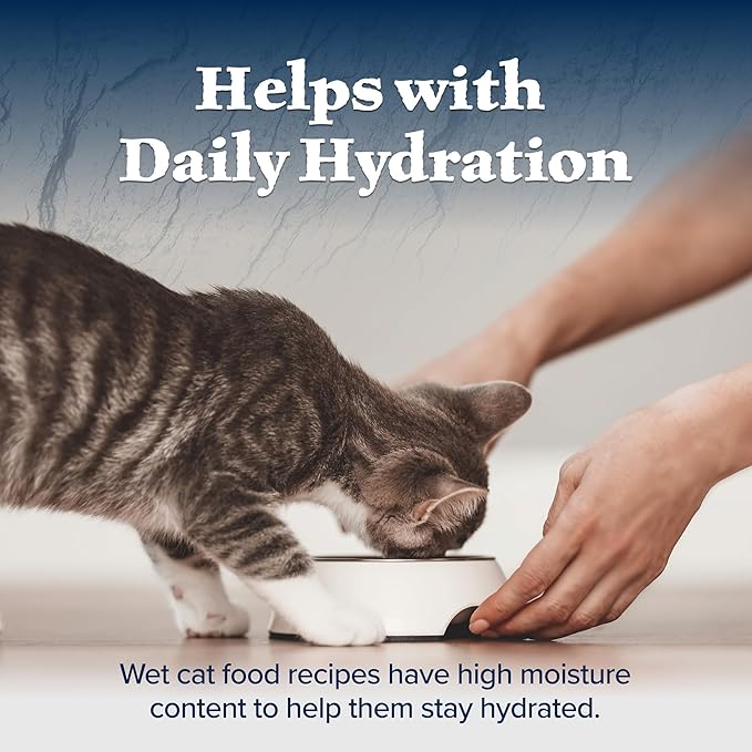 Blue Buffalo Wilderness Wild Delights Natural Wet Food for Kittens, Flaked Chicken & Trout in Tasty Gravy, 3-oz. Cans, 24-pack