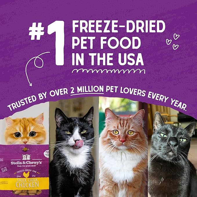 Stella & Chewy's Freeze-Dried Raw Cat Dinner Morsels – Grain Free, Protein Rich Cat & Kitten Food – Yummy Lickin’ Salmon & Chicken Recipe – 3.5 oz Bag