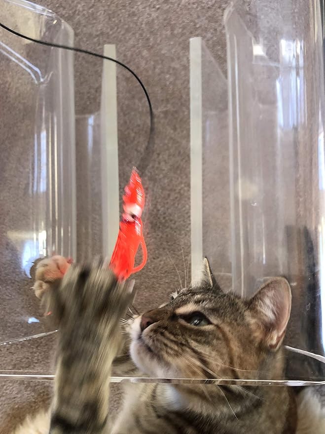 Dynamic Cat Toy | Orange with Black Stripes | Natural Birch Wood Rod Teaser and Exerciser for Cats and Kitten | Interactive Soft | Handcrafted in The USA