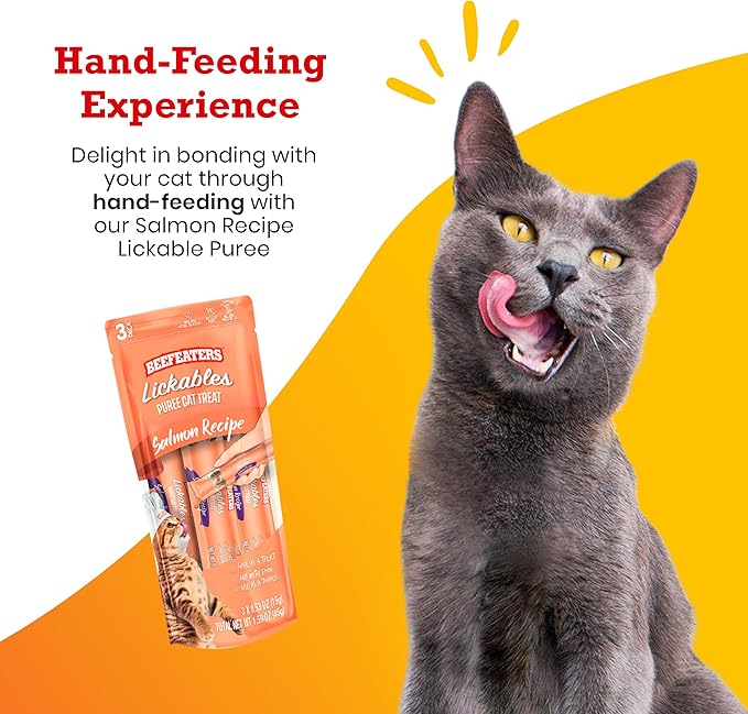 Beefeaters Cat Treats - Salmon Recipe Lickable Puree 1.59oz, Case of 12 | Real Cat Food Salmon Treat | No Corn/Soy/Wheat, Sugar-Free | Training Treats