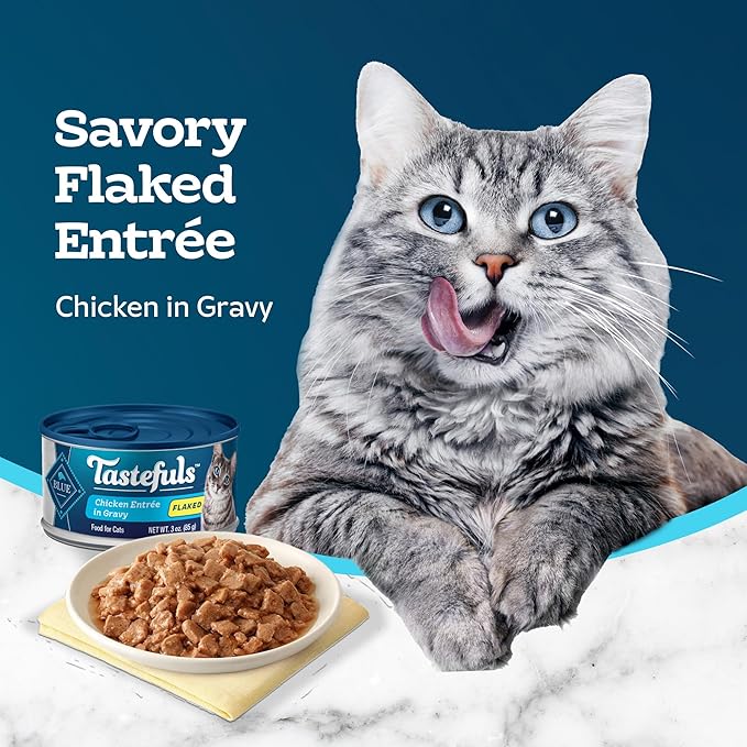 Blue Buffalo Tastefuls Natural Flaked Wet Cat Food, Chicken Entrée in Gravy 3-oz cans (Pack of 24)