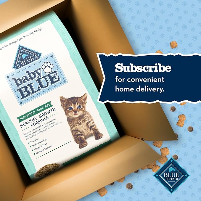 Blue Buffalo Baby BLUE Natural Kitten Grain-Free Dry Cat Food, High-Protein Healthy Growth Formula with DHA, Savory Chicken, 2-lb. Bag