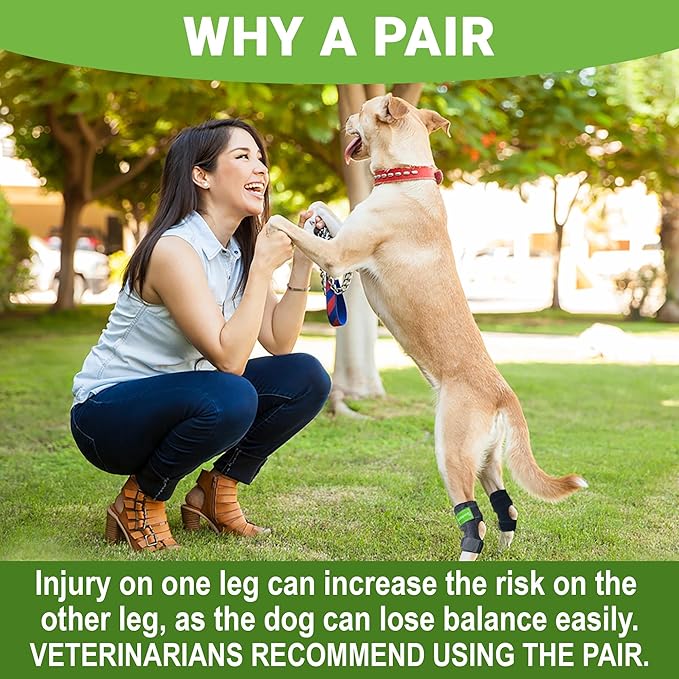 2PCS Dog Braces for Back Leg for Support. Dog Arthritis Brace. Hind Leg Support for Dogs. Leg Brace for Dogs Back Leg. Dog Leg Brace. Dog Back Leg Support Brace. Dog Hock Brace Rear Leg (XL)