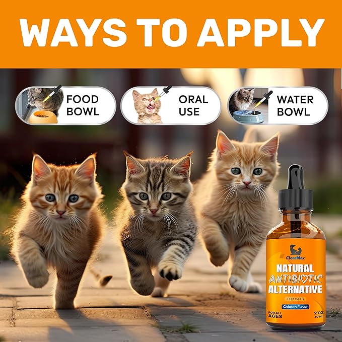 Cat Antibiotics for Infection & UTIs – Antibiotics for Cats to Help with Cough & Allergies – Herbal Supplement with All Natural Ingredients Supports Digestion and Hips & Joints – Chicken Flavor – 2 Oz