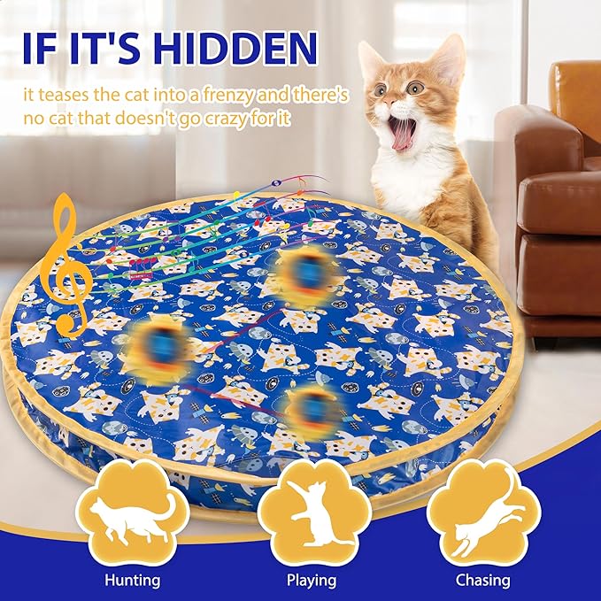 Interactive Cat Toys, Fast Rolling Ball in Play Pocket, Automatic Motion Activated Moving Ball Hide and Seek Mouse Catching Game