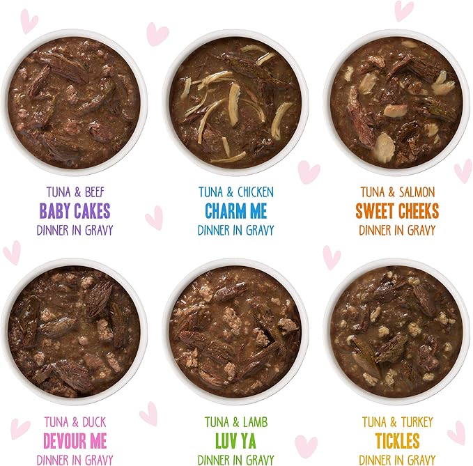 Weruva B.F.F. OMG - Best Feline Friend Oh My Gravy!, Rainbow A Gogo Variety Pack! Cat Food, 3oz Pouch (Pack of 12)