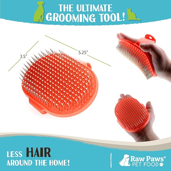Raw Paws Grooming Brush, 1 ct - Hand-Held Rubber Tipped Pin Brush for Dogs & Cats - Dog Pin Brush - Dog Brush for Shedding - Bath Brush for Dogs with Short Hair & Long Hair - Dog Grooming Brush
