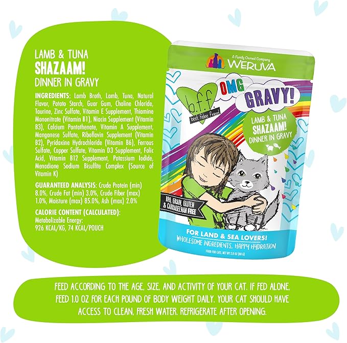 Weruva B.F.F. OMG - Best Feline Friend Oh My Gravy!, Shazaam! with Lamb & Tuna in Gravy Cat Food, 2.8oz Pouch (Pack of 12)