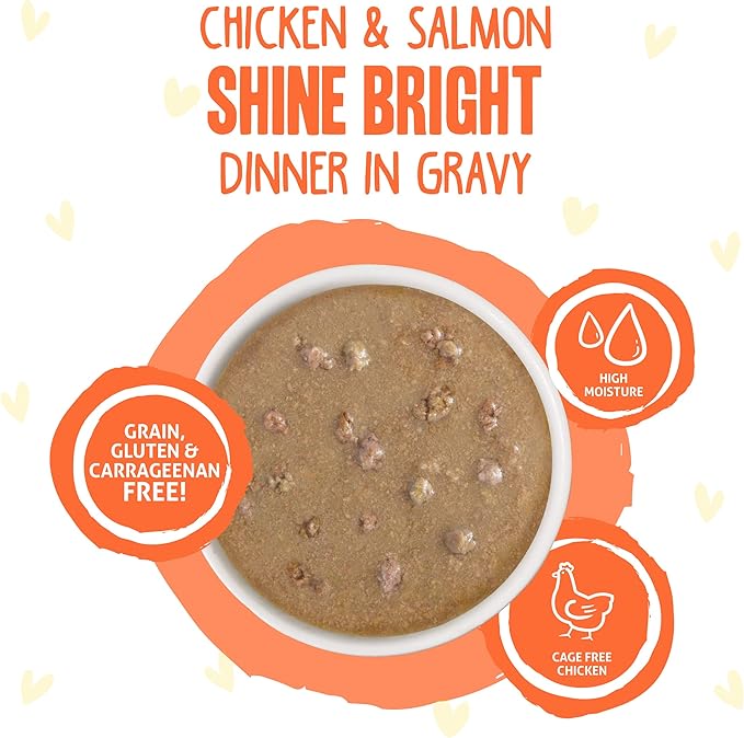 Weruva B.F.F. OMG - Best Feline Friend Oh My Gravy!, Chicken & Salmon Shine Bright with Chicken & Salmon in Gravy, 2.8oz Pouch (Pack of 12)