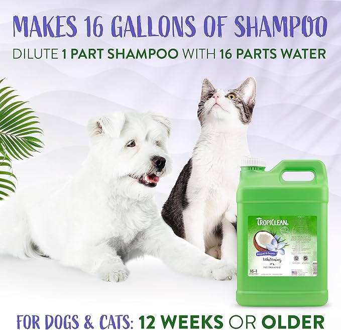 TropiClean Whitening Cat & Dog Shampoo, Puppy & Kitten Safe, Whitening & Brightening, For All Coat & Color Types, Made in the USA, 2.5 gallon