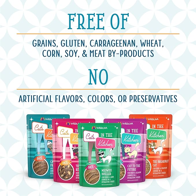 Weruva Cats in The Kitchen Paté, The Karate Kitty with Beef & Salmon, 3oz Pouch (Pack of 12)