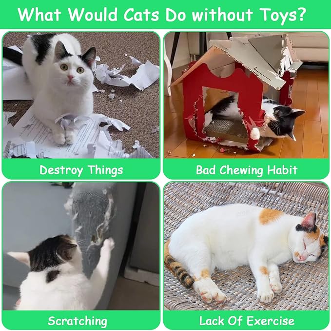 Catnip Toys, Catnip Toys for Cats, Cat Toys with Catnip, Cat Toys for Indoor Cats Kittens, Cat Chew Toy, Cat Pillow Toys for Teeth Cleaning Playing, 6 Pack