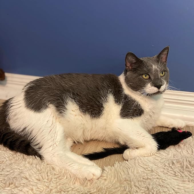 SPOT Ethical Shaggy Plush Ferret with Rattle and Catnip Cat Toy