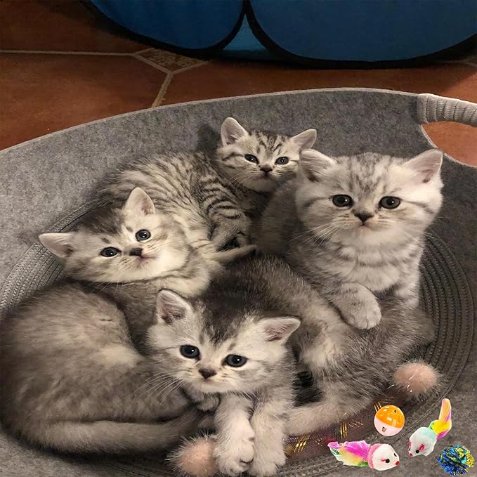 46 PCS Cat Toys for Indoor Cats, Kitten Toys with Cat Spring Toy, Mint Catnip Toys for Cats with Crinkle Cat Toy Mouse Cat Ball Toy for Indoor Cats Kittens Exercise