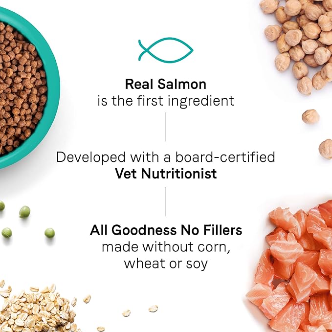 Canidae Goodness for Skin and Coat, Premium Adult Dry Cat Food with Real Salmon, 5 lbs.