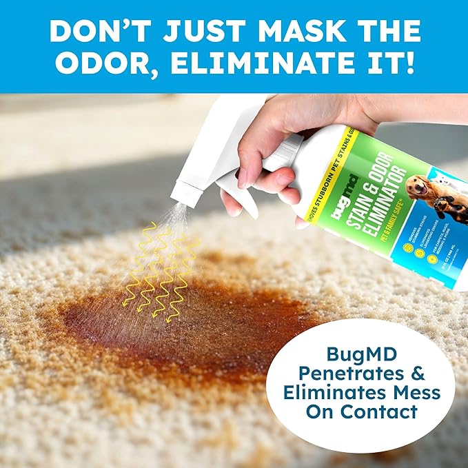 BugMD Enzyme Cleaner & Odor Eliminator for Strong Odor (32oz) - Pet Stain Remover for Carpet, Upholstery, Hardwood, Dog & Cat Urine - Powerful Deodorizer for Home, Floors, Furniture, & Carpet Cleaning
